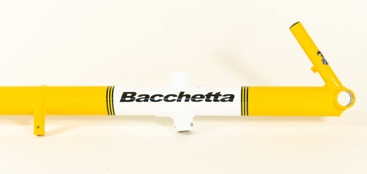 Bacchetta Giro A20 Frameset