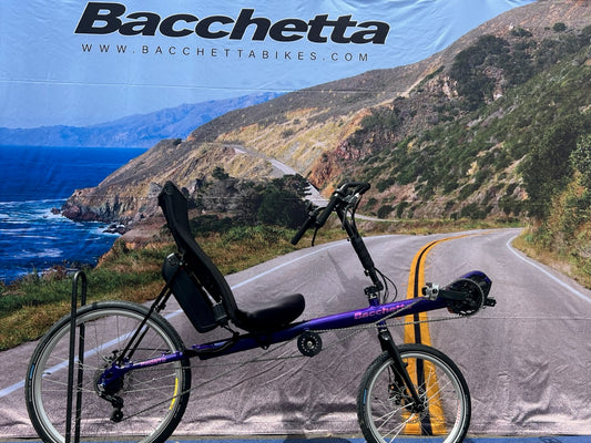 bacchetta backdrop