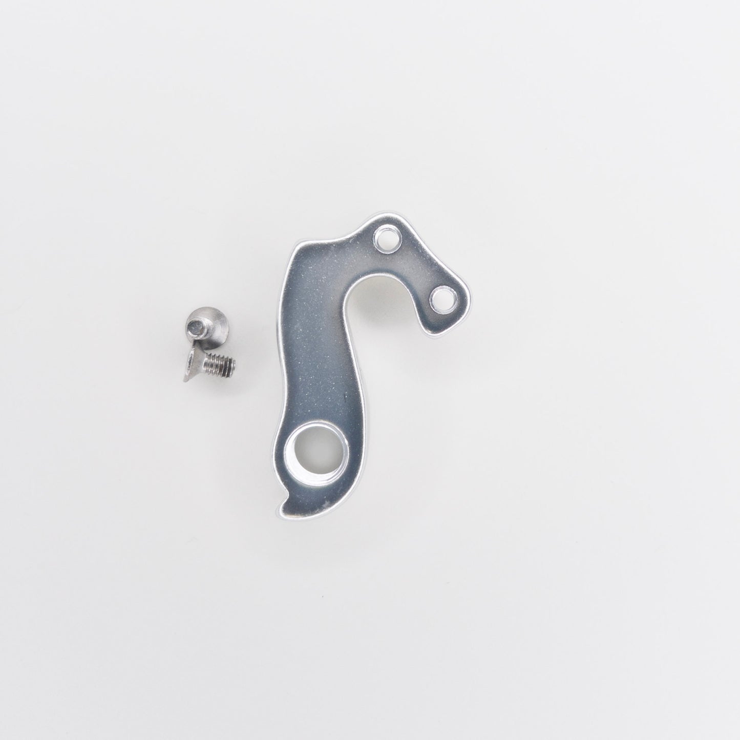 Bacchetta Derailleur Hanger