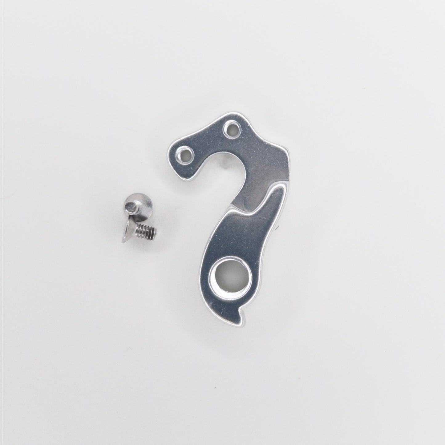 Bacchetta Derailleur Hanger